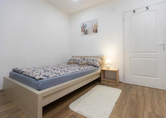 Mijomi * Nagybecskerek