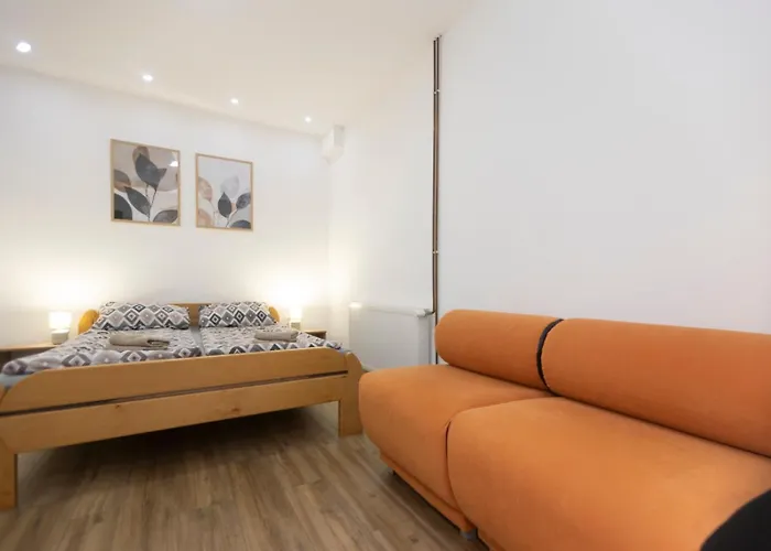 Mijomi * Nagybecskerek