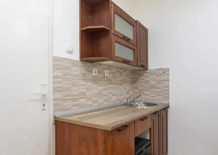 Mijomi * Nagybecskerek