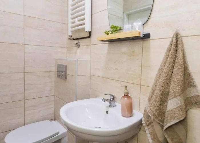 Mijomi * Nagybecskerek