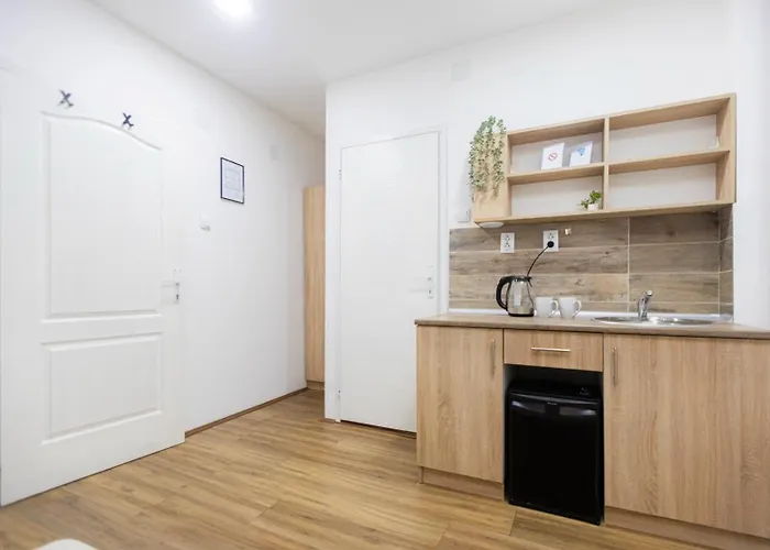 Mijomi Nagybecskerek